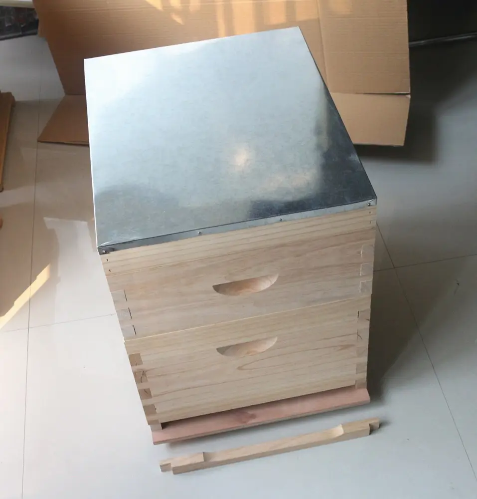 En vrac ruche emballage, meilleure boîte de ruche abeille ruche cadre fabricant