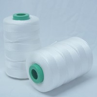 Ficelle en nylon tressé haute résistance de fabricant chaud pour le fil à coudre et la corde #18 500ft