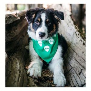 Pañuelo Triangular Personalizado al por Mayor para Perros con Logo, Ropa Suave y Adorable para Mascotas, Estampado por Sublimación de Color Sólido para Perros - Product Image 1