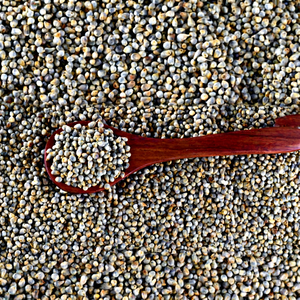 Production de farine de millet perlé - Product Image 1