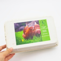 Logo personnalisé Autocollants de qualité alimentaire respectueux de l'environnement Rouleau vert Étiquettes biodégradables pour l'emballage