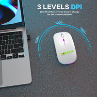 Souris de jeu sans fil OEM ultra-légère 1600 DPI avec rétroéclairage RVB rechargeable, ergonomique pour les joueurs sur PC