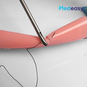 Laparoscopische Chirurgie Simulatie Darmeend Om Anastomose Trainingsmodel Darm Darmhechting Oefenmodule Te Beëindigen - Product Image 6