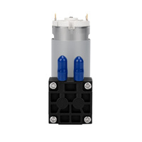 Offre directe d'usine HCKG, pompe à air à diaphragme à micro-moteur à courant continu 12/24V 3,5 bar 6LPM pour équipement