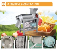 Commerciële Juicer Machine Fruit En Wortelgroenten Spruiten En Tarwegras Wortel Spiraal Pers Sap Extractor