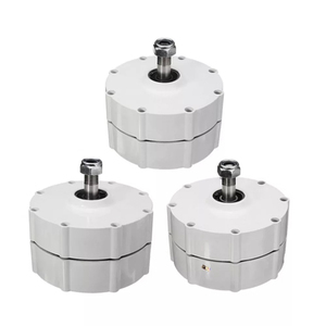 Generador Magnético Trifásico de 300w o Potencia Personalizada para Generador Eólico Horizontal - Product Image 2