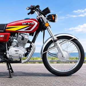 Motor CG175 <span class=keywords><strong>4T</strong></span> 175cc para Moto Triciclo de Carga / Motor Completo CG 175 / Conjunto de Motor CG175 de 4 Tiempos Refrigerado por Aire 175cc - Product Image 6