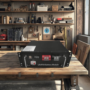 Garansi <span class=keywords><strong>3</strong></span>-10 tahun 25.6V 48V 51.2V 100Ah rak kontainer daya paralel baterai penyimpanan energi LiFePO4 LFP - Product Image 4