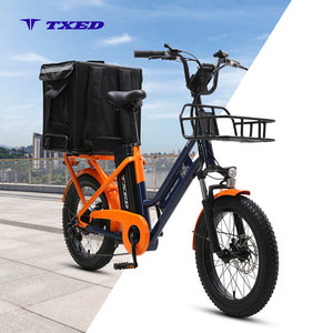 Vélo cargo polyvalent à deux roues TXED avec boîte avant intégrée, haute capacité de charge, vélo électrique de qualité professionnelle, transport durable - Product Image 1