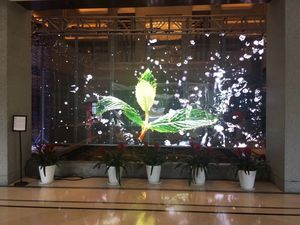 Écran en film cristal flexible ultra-mince P6 P6.5P8 adhésif transparent créatif personnalisé film écran led film d'affichage - Product Image 6