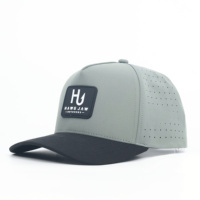 Op maat gemaakte groothandel logo nieuwe sport katoenen snapback baseball petten met geborduurd logo, 5 panelen