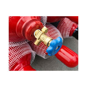 <span class=keywords><strong>Bouteille</strong></span> d'oxygène domestique 2L petite taille O2 pour soins respiratoires à domicile et secours d'urgence - Product Image 2