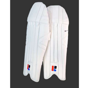 Ensemble de protège-tibias et de gants de cricket de conception avancée, couleur personnalisée, ajustement confortable, design léger et sécurisé, pour entraînement intensif, pour garçons - Product Image 1