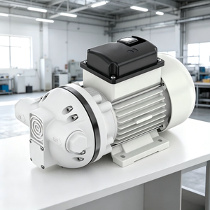 <span class=keywords><strong>Pompe</strong></span> à huile électrique industrielle haute pression Shanghai Nanquan <span class=keywords><strong>220</strong></span> <span class=keywords><strong>volts</strong></span> pour le transfert d'huiles et de lubrifiants, garantie 1 an - Product Image 6