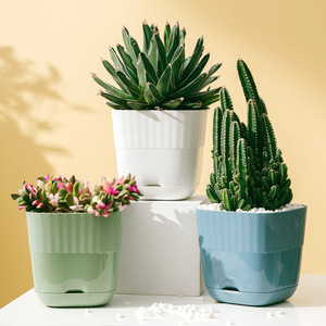 Succulent <b>Planter</b> Pots Resin Plastic With Drainage Hole Desktop Flower Pot Ivory <b>White</b> Lake Blue Avocado Green YQ 002 - Product Image 1