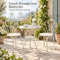 Ensemble bistrot minimaliste de style français en métal, 3 pièces, table et chaises de patio pour jardin, balcon