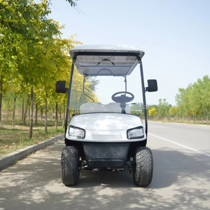 Voiture de golf électrique Holladay personnalisée 4+<span class=keywords><strong>2</strong></span> places avec batterie 60v, moteur AC 3.5KW, certifiée CE, autonomie de 90 km pour les visites en club - Product Image 1