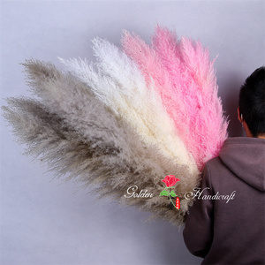 QSLH-567 Bulk Sales Natural <strong>Drying</strong> Pampas Grass Centerpieces Beige Dry Flower <strong>Bouquet</strong> Reed Grey Large Fluffy Plume Pampas Grass - Product Image 2