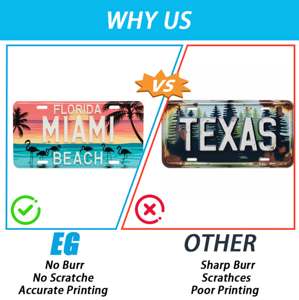 Placa de matrícula antimonopolio a prueba de UV con logotipo en relieve de diseño personalizado para coche con 25 años de experiencia - Product Image 2