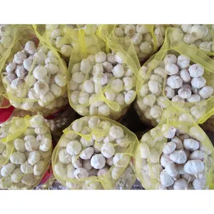 2023 nouvelle récolte d'ail frais chinois normal blanc et pur ail blanc alho ajo ail approvisionnement avec prix de gros d'ail