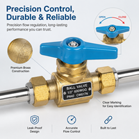 Industrial Gas Manifold SS304 Dual Line | Cylinder Distribution System with Brass Valves Pressure Gauges