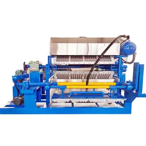 Paper Pulping Equipment High Quality 30 cell Egg Carton Tray Making Machine for Chicken Farm