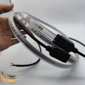 Bande LED 24V DC en <span class=keywords><strong>PVC</strong></span>, embout moulé IP68, 10W, 2700K, 3000K, RGB, 2835 SMD, pour éclairage d'escaliers, piscines et extérieur - Product Image 4