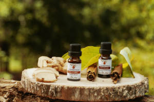 Aceite Esencial de Ravintsara 100% Puro de Madagascar, Rico en 1,8-Cineol (>45%), Probado por GC/MS, Bidón, Vida Útil de 3 Años, a Granel - Product Image 5