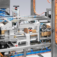 Machine d'emballage de caisses en carton enveloppante personnalisée largement utilisée dans les grands sacs de tapioca de farine de blé