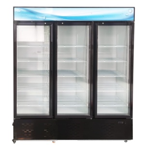 <span class=keywords><strong>Congélateur</strong></span> coffre solaire DC 300L-900L avec porte battante, <span class=keywords><strong>sans</strong></span> <span class=keywords><strong>givre</strong></span>, classe énergétique A+ pour hôtel, camping-car, usage domestique - Product Image 5