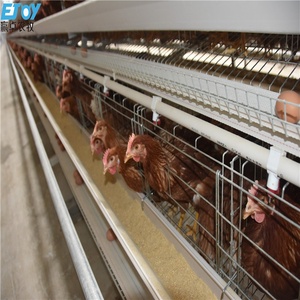 Completamente automatizzato tipo H galvanizzato gabbia di allevamento di pollo batteria ovaio gabbie per allevamenti di pollame - Product Image 4