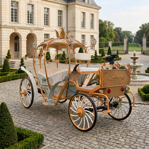 Chariot de Cendrillon électrique miniature magnifique, personnalisable, idéal pour la décoration de Noël en extérieur – Meilleures ventes - Product Image 1