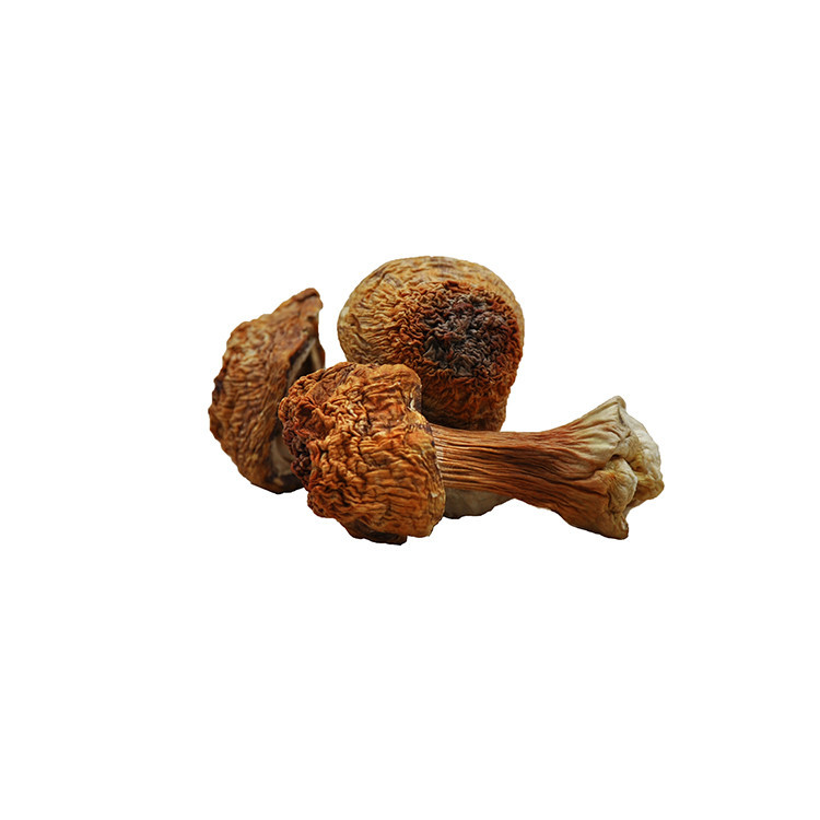 Superfood Natural Dried Whole Agaricus Blazei Mushroom Himematsutake Cogumelo Do Sol