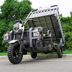 Promotion motorisé électrique Cargo Tricycle pour adultes 3 roues moto Tricycles vélo 1000w véhicules - Product Image 2
