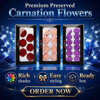 Hfloral OEM – Boîte carrée personnalisée pour arrangements floraux éternels – Têtes de fleurs de carnation stabilisées pour la Fête des Mères, la remise des diplômes et la Saint-Valentin