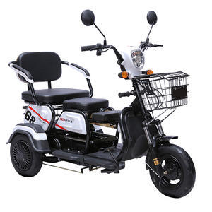 Triciclo Eléctrico Paige para Mujer, Triciclo de 3 Ruedas, Rikshaw, Motocicleta Eléctrica <span class=keywords><strong>Bodo</strong></span>, Taxis, Camión Eléctrico - Product Image 6