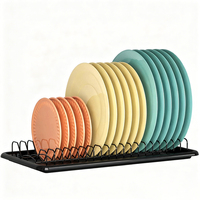 Égouttoir à vaisselle compact en métal à un seul niveau, support de rangement en acier pour évier de cuisine, séchoir à assiettes