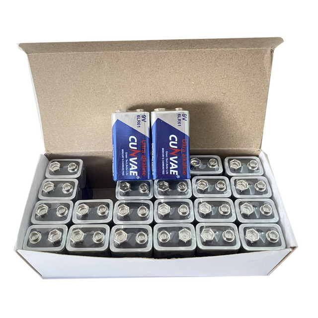 Dry Battery 9V 6LR61 800mAh Alkaline Dry Batteries for Electronic Equipment