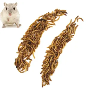 Mealworm Yellow Mealworm High Protein Bird Turtle Hamster Special Snack Worm Dried Bird Food Pigeon Food