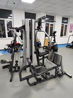 Système de poulies en acier pour salle de sport à usage commercial, équipement d'exercice multifonctionnel avec pile de poids de 75 kg