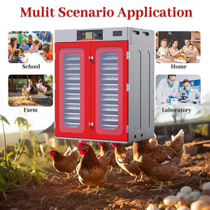 אינקובטור אוטומטי חכם 3 ב-1 ל-1000 ביצים עם מיכל מים, מכונת הדגרה לעופות עבור תרנגולות, ברווזים, אווזים ושלווים - Product Image 5