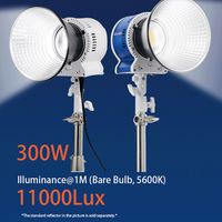 DENGWEI LE300Bi 300W Lumière d'appoint vidéo LED COB bicolore en métal OEM CRI 96+ avec télécommande pour studio photo