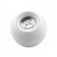 Fournisseur de solutions hôtelières, downlight en aluminium à montage en surface, angle réglable, forme globe, lampe LED à intensité variable