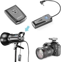 Neewer RT-16 - Disparador de Flash Inalámbrico de 16 Canales para Estudio, Control Remoto Inalámbrico para Cámara, Disparador Remoto Inalámbrico