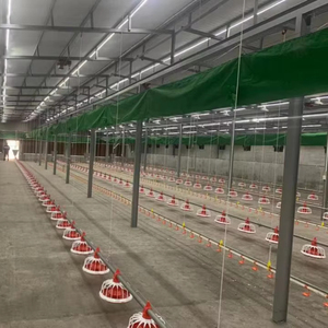 Compre nuevos bebederos automáticos para aves de corral para pollos Equipo agrícola eficiente para alimentación de pollos - Product Image 1