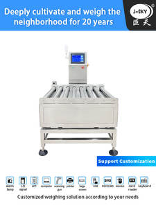 औद्योगिक पैकेजिंग और सॉर्टिंग समाधान लागत प्रभावी जांच भार रोलर कन्वेयर स्केल - Product Image 3