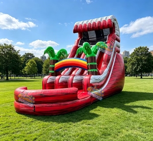 Toboggan aquatique gonflable tropical commercial en PVC robuste avec piscine à jets et <span class=keywords><strong>d</strong></span>écoration palmier pour la <span class=keywords><strong>location</strong></span> - Product Image 2