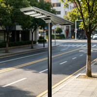 Farola Solar LED Regulable CHZ con Tecnología de Iluminación Adaptativa, Lámpara para Exteriores