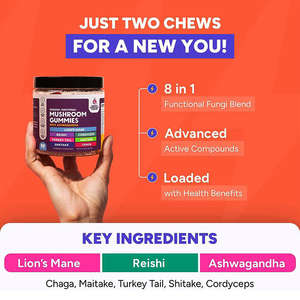 Meilleures ventes Suppléments cérébraux pour adultes Nootropiques de marque privée pour Focus Energy Gummy Candy Dosage Supplément aux champignons - Product Image 2