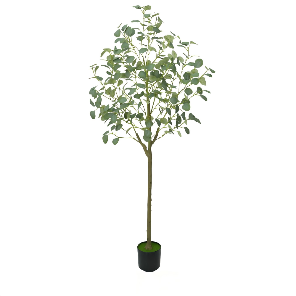 160cm(62.99in)